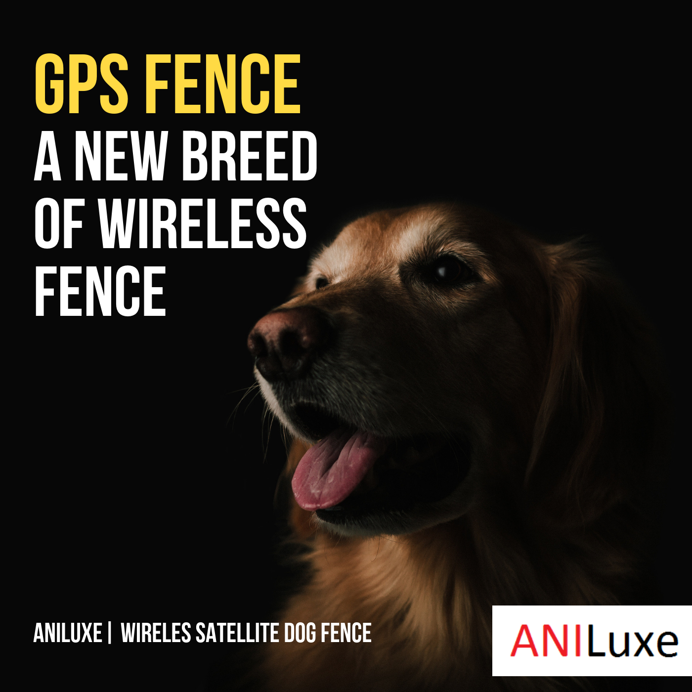 Aniluxe GPS Wireless dog fence