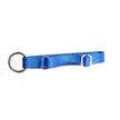 Canadog Collars With Buckle Clousure