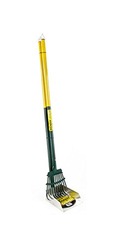 Four PAWS RAKE SET pour chien