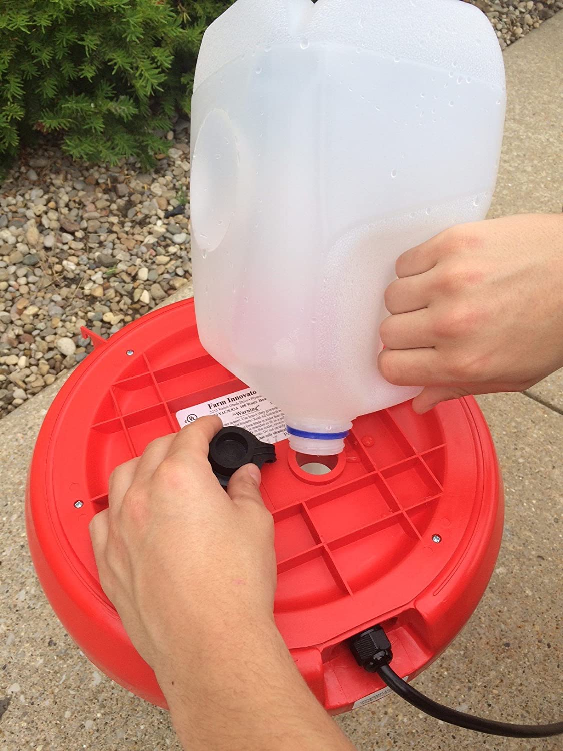 Farm Innovateurs Modèle HPF-100 Fountain de volaille en plastique chauffée, 3 gallons, 100 watts