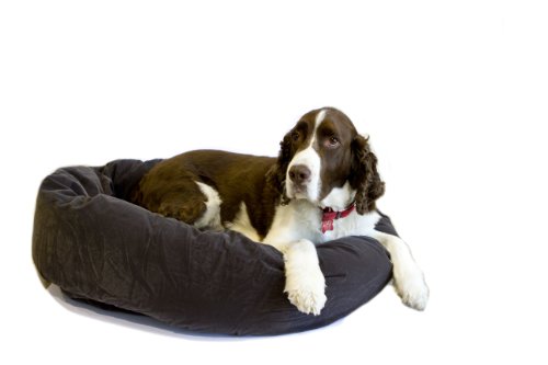 Danazoo 34-Inch x 24-Inch x 8-Inch Donut Bed-Mailer, Charcoal Grey
