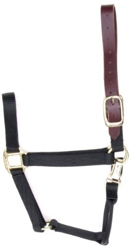 Accent 1-Inch wide Turnout Halter for Yearlings, 500-Pound to 800-Pound, Black