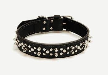 Coastalpet Harley Davidson a engendré des colliers en cuir en noir 1 1/2 