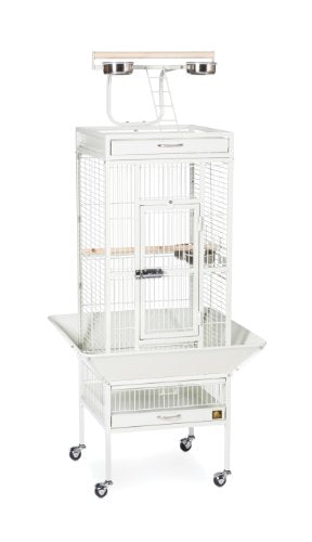 Prevue Hendryx Pet Products Wrought Iron Select Bird Cage, Chalk White