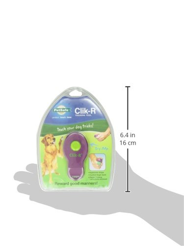PetSafe Clik-R Trainer