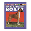 Le monde du boxeur