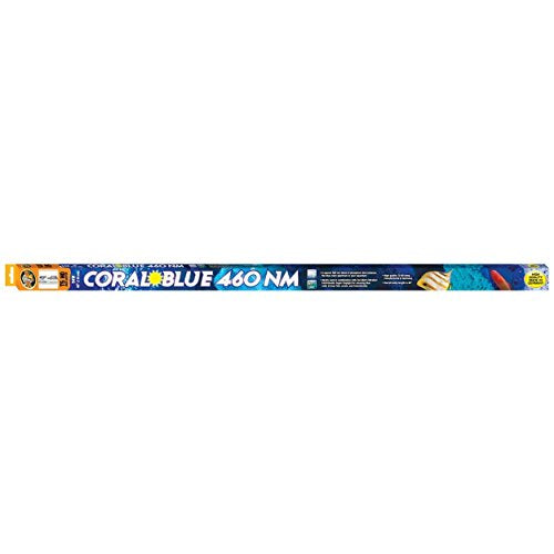 Zoo Med AA6449 Coral Blue 460 NM T5-HO Lamp (46 inch)