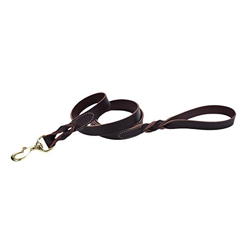 Coastalpet Circle T Latigo Leather Twist Leash with Solid Brass Hardware