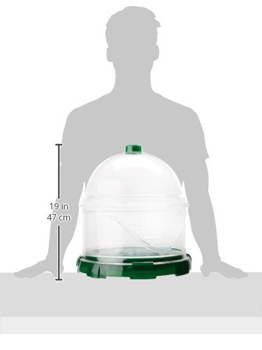 Terra Small Land Animal Couleur de l'habitat modulaire: vert