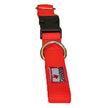 Canadog Collars With Buckle Clousure