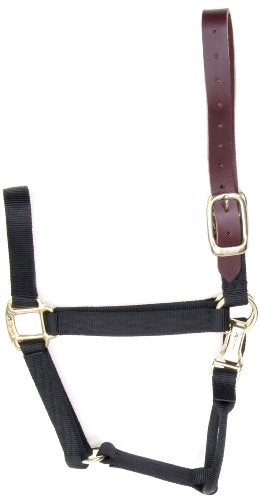 Coastalpet Accent 1-Inch Turnout Halter For Horses