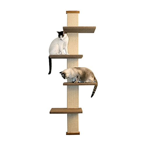 80" Climber Cat Tree