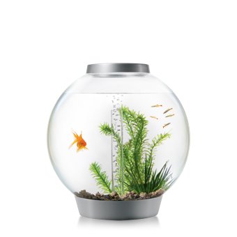 Reef One biOrb Aquarium