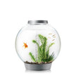 Reef One biOrb Aquarium