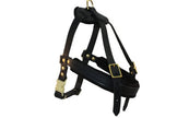 Harnais de chien en cuir, grand, noir (tremble), 100% en cuir de bride anglais authentique, pour les races de 80 à 120 livres. Coffre: 33-40 pouces, cou: 28-36 po, sangle de poitrine: 27 