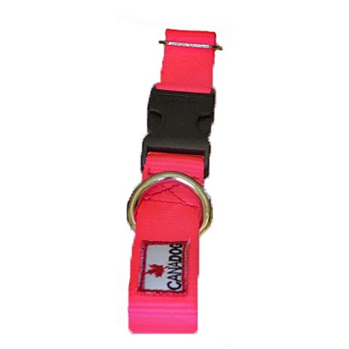 Canadog Collars With Buckle Clousure