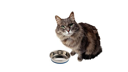 OurPets Durapet Stainless Steel Cat Dish, 0.75 cups