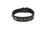 Coastalpet Harley Davidson a engendré des colliers en cuir en noir 1 1/2 