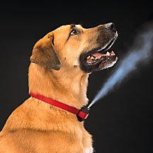 Gentle Spray Citronella Refill by Premier-Pet-Products