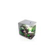 Récif un x5859 débit biorb 15 litres en argent flocons métalliques aquarium