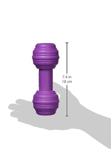 PetSafe Busy Buddy Chuckle Dog Toy