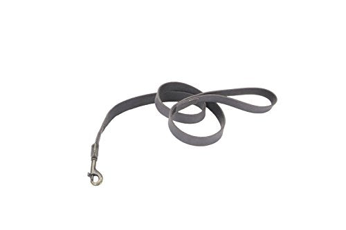Cercle des produits pour animaux de compagnie côtière t LEAS DE CHIEN RUSTIQUE en cuir, 1 "x 4 ', gris ardoise (03048 SLG04)
