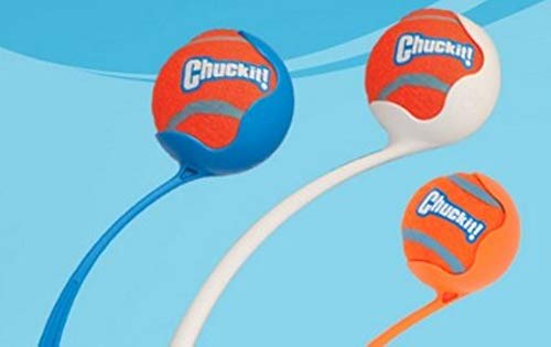Chuckit! Balle de tennis