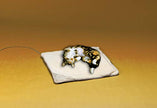 Allied Precision Industries Small Heated Pet Bed