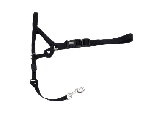 Halter de la tête de train côtière, noir, 2, médium