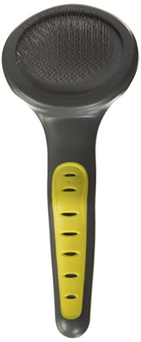 JW Pet Company Gripsoft Slicker Soft Pin Dog Brush, petit