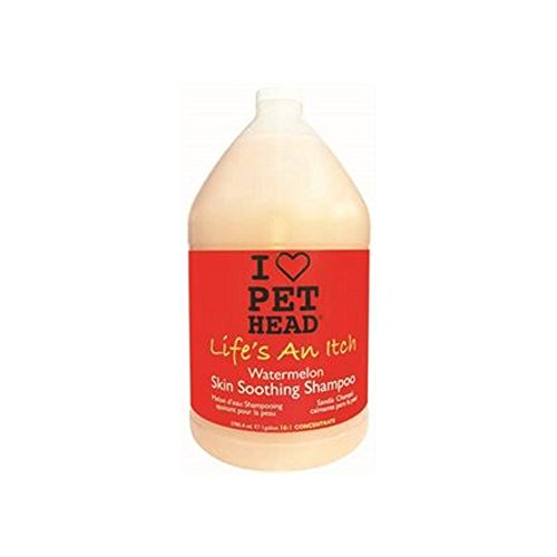 Pet Head 31281 Life's An Itch Skin Sponing Shampooing 1 Gallon