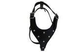 Leather Rhinestones Bling Dog Harness, Med, Black, 100% Genuine Argentinean Leather (Malibu) for Med. Breeds. Neck: 10.5