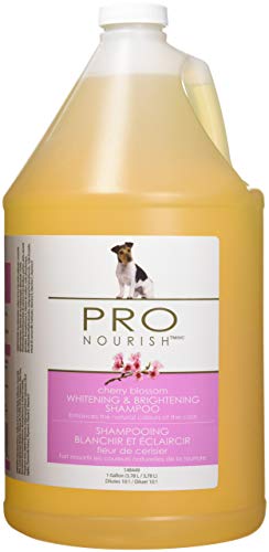 Oster Professional PRO Nourish Whitening & Brightening Shampoo