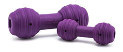 PetSafe Busy Buddy Chuckle Dog Toy