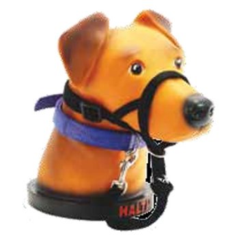 Company of Animals DD8639 Halti Headcollar