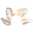 PET Center Inc Beef Ears 100ct