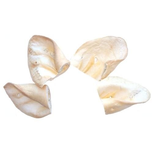 PET Center Inc Beef Ears 100ct (Natural)