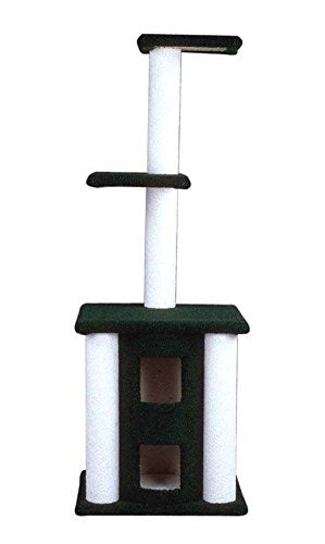 North American Pet 49235 Cat Tree K / D avec condo JT 66 pouces