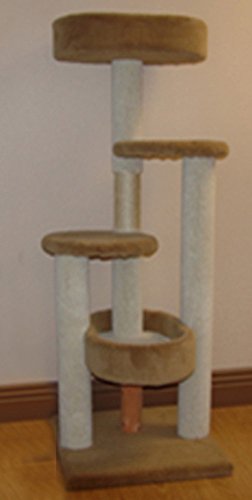 North American Pet Classy Kitty 49535 GRAND POST avec deux nids et rebords de 57 pouces