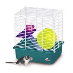Kaytee Super Pet 100079044 Hamster Hamster à 2 étages 14 x 10 6 / cas