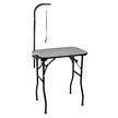 Precision Pet Pro Grooming Table with Access&Loop
