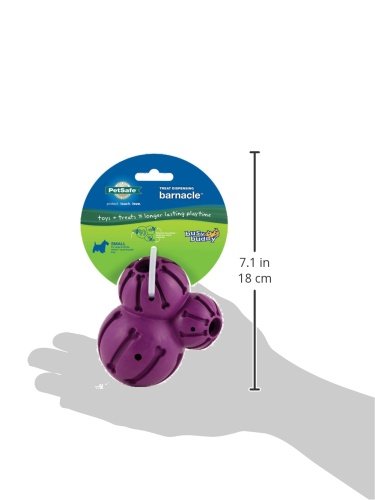 Busy Buddy Barnacle Treat Dispensing Dog Toy