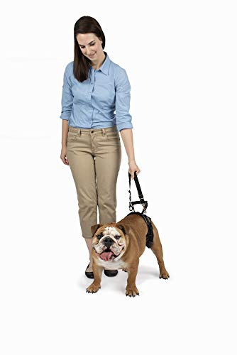 Solvit Rear-Only Lifting Harness, Medium