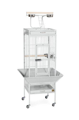 Prévue Hendryx 3152C Produits pour animaux de compagnie Whited Fer Select Bird Cage, Chalk White, 24 '' x 20 '' x 60 ''