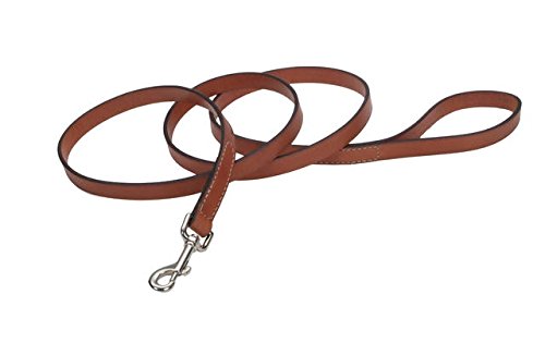 Coastal Pet Tanned Leather Lead For Dog 6x1inch