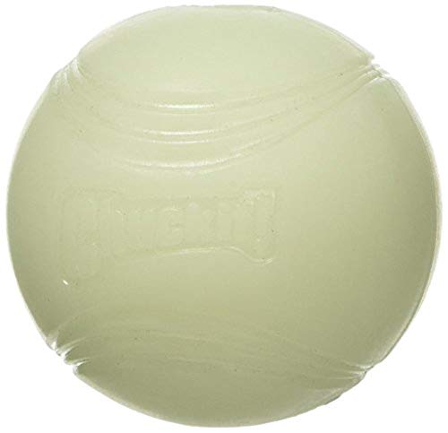 Chuckit! Boule de lueur max,