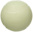 Chuckit! Boule de lueur max,