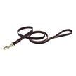 Coastalpet Circle T Latigo Leather Twist Leash with Solid Brass Hardware