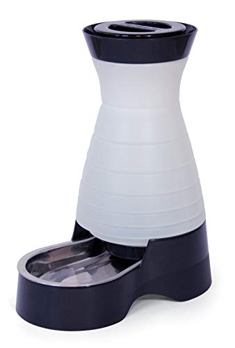 Pettsafe Salled Pet Water Water Station et Système d'eau pour chats avec bol en acier inoxydable