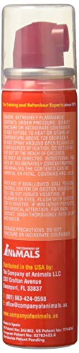The Company of Animals Pet Corrector- 50 ML